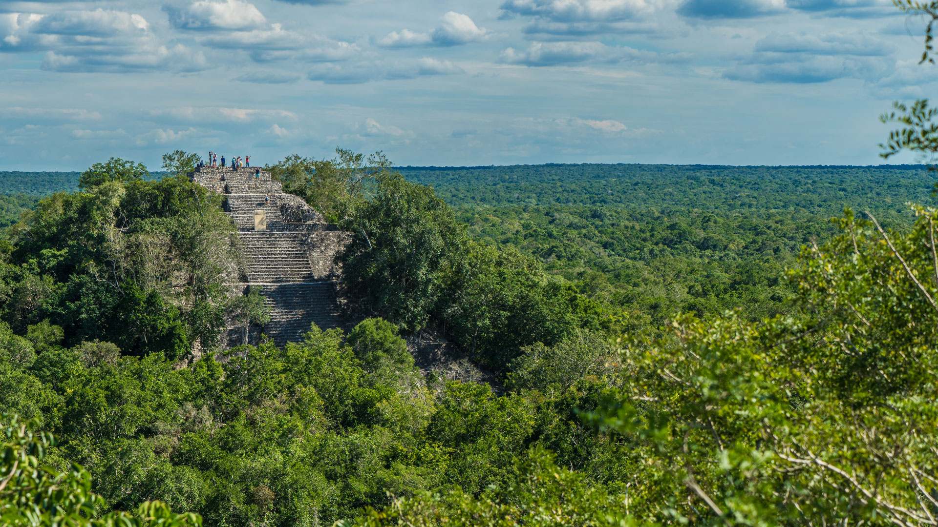 Selva tropical de la Riviera Maya